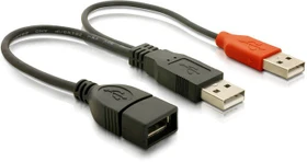 DeLOCK USB 2.0 Y-Kabel, 2x A/A Buchse (65306)