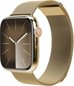Vonmählen Milanaise Loop 2 für Apple Watch 42mm gold