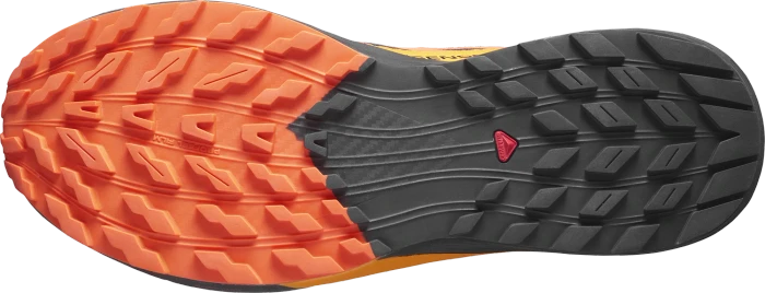 Salomon Sense Ride 5 GTX black/scarlet ibis/turmeric (Herren)