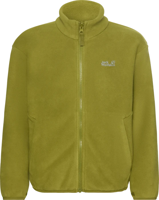 Jack Wolfskin Iceland 3in1 Funktionsjacke green zinnia (Junior)