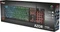 Trust Gaming GXT 835 Azor, LEDs RGB, USB, IT Vorschaubild