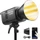 Godox Litemons LE300Bi schwarz