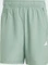 adidas Train Essentials Woven Training Shorts Trainingshose kurz silver green/white (Herren) Vorschaubild