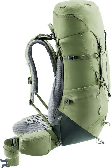 Deuter Aircontact Lite 35+10 SL grove/ivy (Damen)