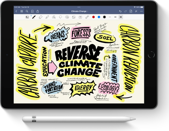 Apple Pencil 1. Gen / 2025, Set inkl. Lightning Adapter, Austausch-Spitze, USB-C zu Apple Pencil Adapter