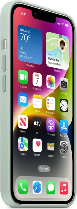 Apple Silikon Case mit MagSafe für iPhone 14 agavengrün