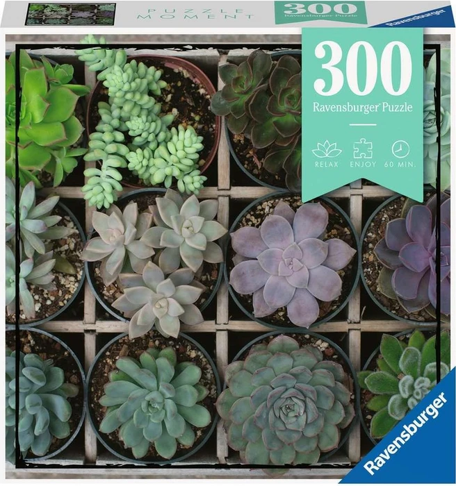 Ravensburger Green
