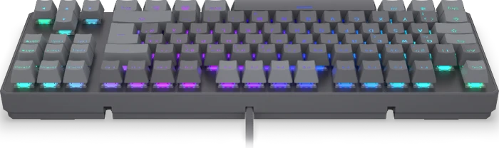 Endorfy Thock V2 TKL, PBT, grau, LEDs RGB, hot-swap, Endorfy RED, USB, DE
