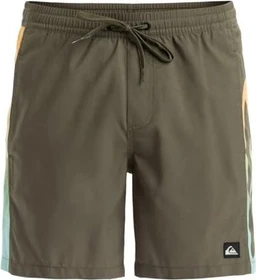 Quiksilver Everyday Holmes 16" Badeshorts grape leaf (Herren)