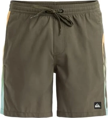 Quiksilver Everyday Holmes 16" Badeshorts grape leaf (Herren)
