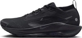 Nike Pegasus Trail 5 Gore-Tex black/anthracite (Herren)