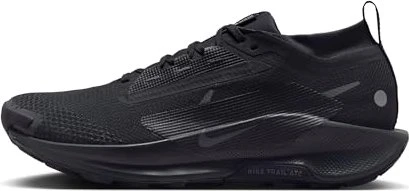 Nike Pegasus Trail 5 Gore-Tex (Herren)