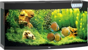 Juwel Vision 260 LED Aquarium-Set, schwarz, 260l