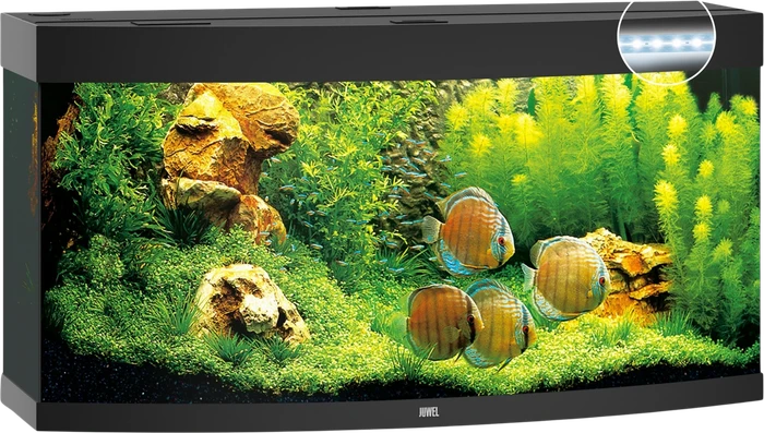 Aquarium-Set, schwarz, 260l