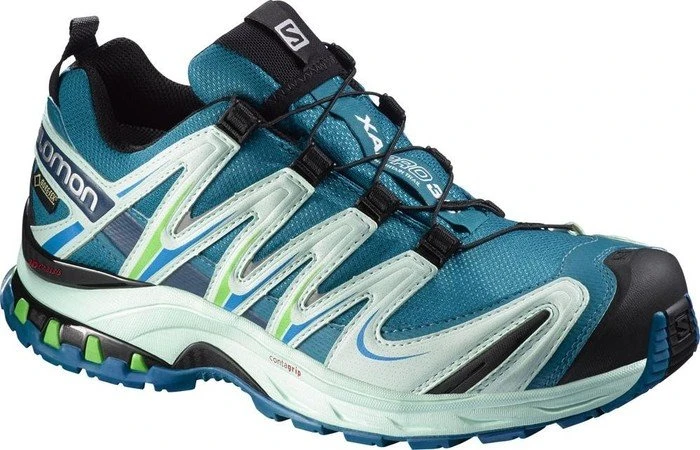 Salomon XA Pro 3D GTX fog blue/igloo blue/tonic green (Damen)