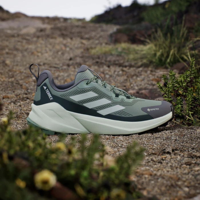 adidas Terrex Trailmaker 2.0 GTX silver green/linen green/legend ivy (Damen)