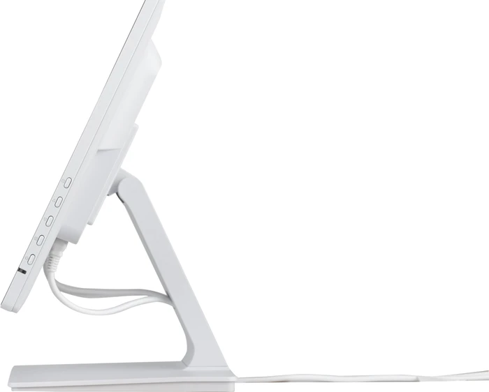 iiyama ProLite T2452MSC-W1, 23.8"