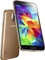 Samsung Galaxy S5 G900F 32GB gold Vorschaubild