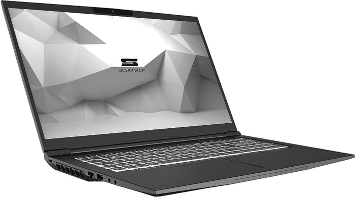 Schenker Media 17-E20fxp E20fxp, Core i7-10750H, 16GB RAM, 1TB SSD, GeForce RTX 2060, DE