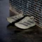 adidas Adizero Evo SL silver pebble/carbon/iron metallic (Herren) Vorschaubild