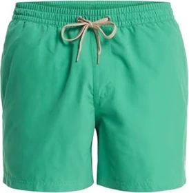Quiksilver Everyday Solid 15" Badeshorts leprechaun (Herren)