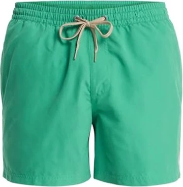 Quiksilver Everyday Solid 15" Badeshorts leprechaun (Herren)