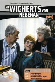Die Wicherts von nebenan Vol. 6 (Folgen 15-18) (DVD)