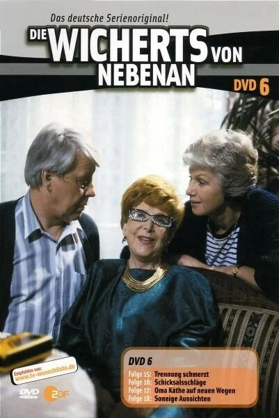 Die Wicherts von nebenan Vol. 6 (Folgen 15-18) (DVD)