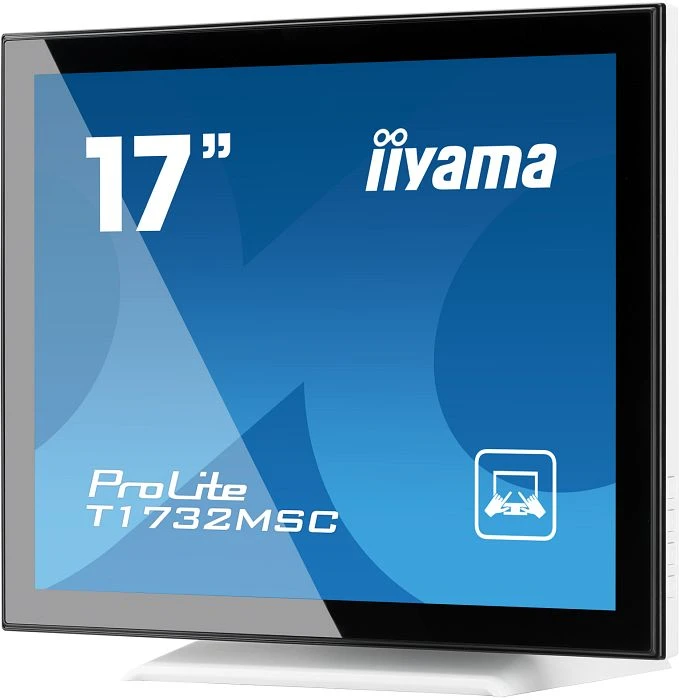iiyama ProLite T1732MSC-W5AG, 17"