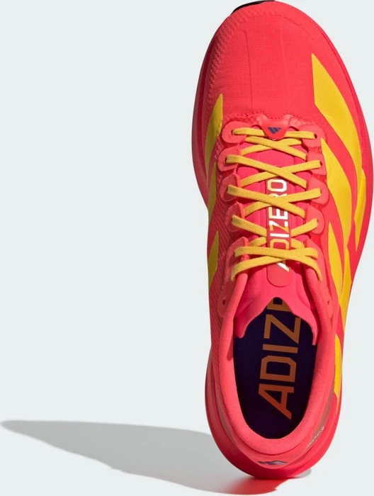 adidas Adizero Evo SL lucid red/bold gold/semi lucid blue (Herren)
