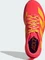 adidas Adizero Evo SL lucid red/bold gold/semi lucid blue (Herren) Vorschaubild