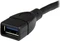 StarTech USB-A 3.0 Portschoner (Stecker/Buchse) Vorschaubild