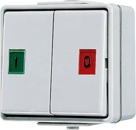 Jung WG 600 Doppel-Taster 10A 250V