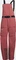 adidas Terrex 3-Layer Gore-Tex Snow Bib Skihose lang (Damen) Vorschaubild