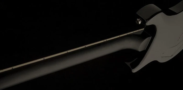PRS SE Mark Holcomb (ältere Modelle)