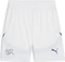 Puma UEFA EURO 2024 Schweiz Shorts Vorschaubild
