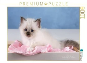 Calvendo Ein Motiv aus dem Kalender Heilige Birma Kitten - ein Traum auf weißen Pfötchen