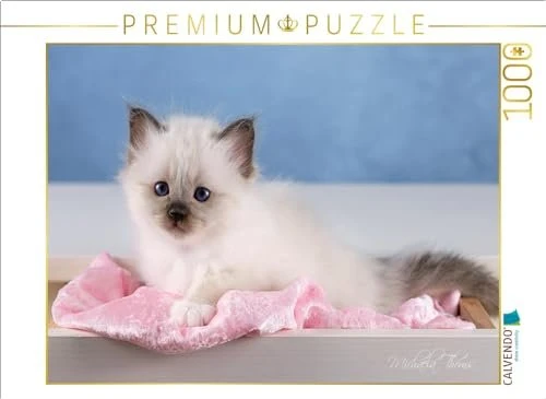 Calvendo Ein Motiv aus dem Kalender Heilige Birma Kitten - ein Traum auf weißen Pfötchen