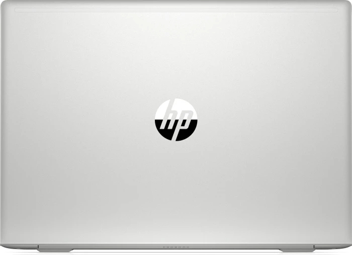 HP ProBook 455 G6, silber, Ryzen 5 2500U, 8GB RAM, 256GB SSD, DE