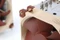 Noctua NH-U9 TR4-SP3 Vorschaubild