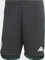 adidas Celtic FC 2023/2024 Auswärtsshorts black (Herren) Vorschaubild