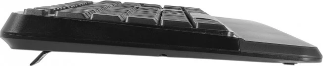 DeLOCK kabellose Tastatur mit Handballenauflage und Maus Set schwarz, USB, DE