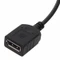 Club 3D Mini DisplayPort/DisplayPort Adapter Vorschaubild