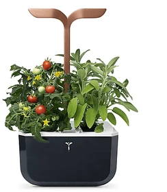 Veritable Exky Smart Indoor schwarz/kupfer