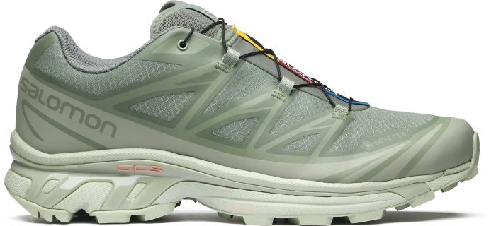 Salomon XT-6 GTX desert sage/lily pad/laurel wreath