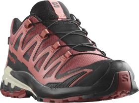 Salomon XA Pro 3D V9 GTX cow hide/black/faded rose (Damen)