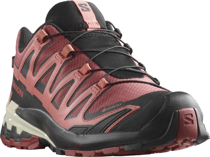 Salomon XA Pro 3D V9 GTX cow hide/black/faded rose (Damen)