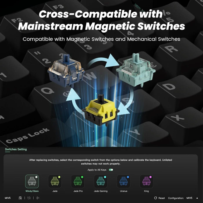 Akko Monsgeek M1 V5 TMR Mechanical Keyboard, Black & Silver, LEDs RGB, hot-swap, AstroAim Magnetic, USB/Bluetooth, DE