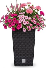 Prosperplast Rato Square 26.5x26.5cm umbra