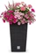 Prosperplast Rato Square Blumentopf 26.5cm Vorschaubild